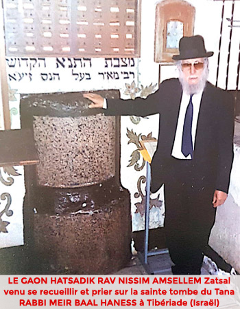 Rabbi Meir