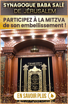 Participez à l'embellissement de la Synagogue
