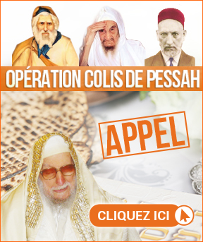 Pessah 5785 : Offrons un Seder aux familles nécessiteuses de Jérusalem