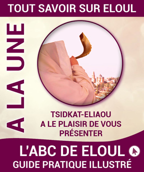 Abc guide pratique illustre sur Roch Hodech Eloul