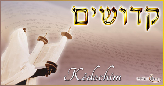 Parachat Kédochim  : la Torah nous explique comment être saint.
