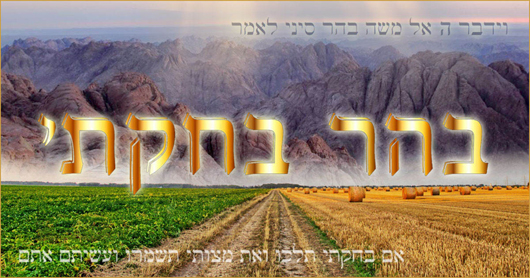 Parachat BÉHAR-BÉ'HOUKOTAÏ : Chemita, Yovel, Mitzvot et Guéoula