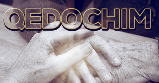Qedochim