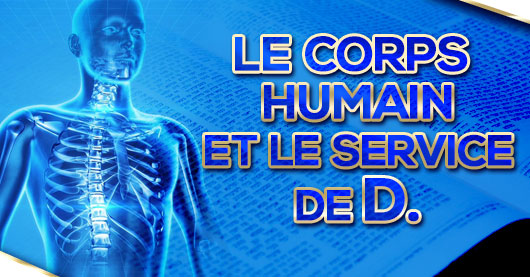 Le corps humain et le service de D.