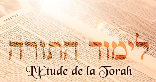 L’étude et la grandeur de la Torah