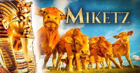 Miketz, l'interprétation des rêves.