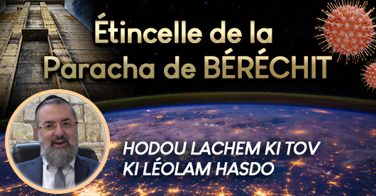 Parachat Béréchit avec le Rav Abdelhak