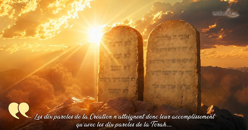Rav Naon