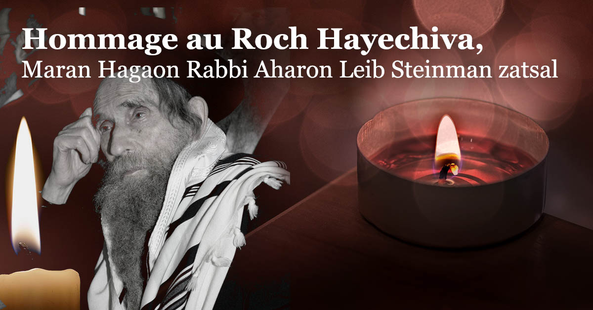 Maran Hagaon Rabbi Aharon Leib Steinman zatsal