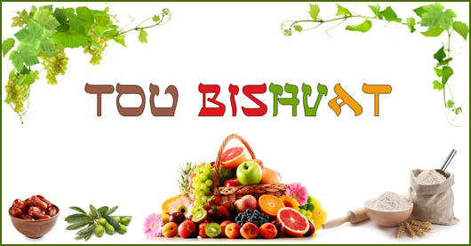 Tou Bishvat, le nouvel an des arbres