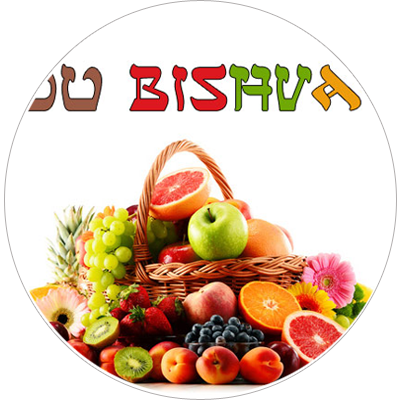 Tou Bishvat, le nouvel an des arbres