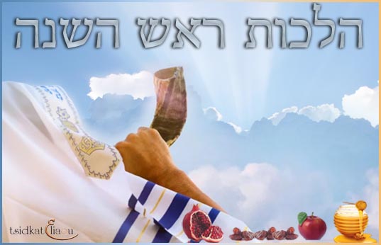 Sortie de Chabbat et Yom Tov