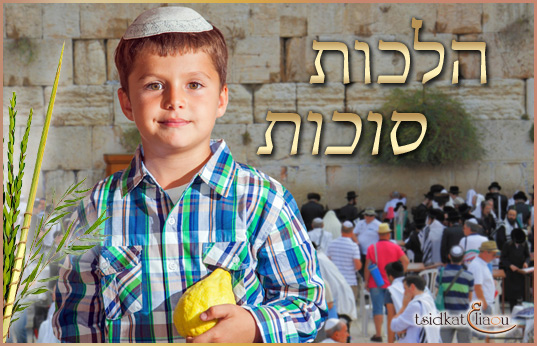 Arava et Hochaana raba
