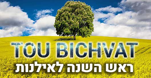 Tou Bichvat, le nouvel an des arbres