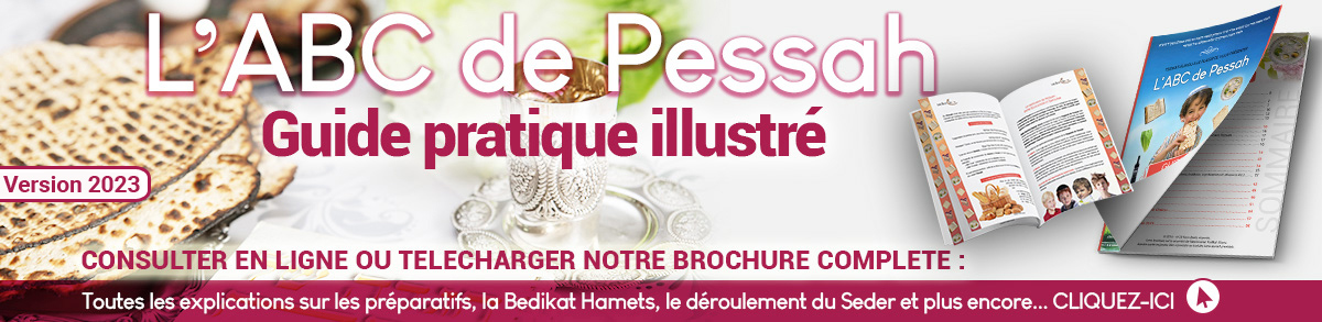  L'ABC de Pessah  : une merveilleuse brochure, un guide pratique illustré 