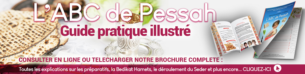 L'ABC de Pessah - Guide pratique illustré 