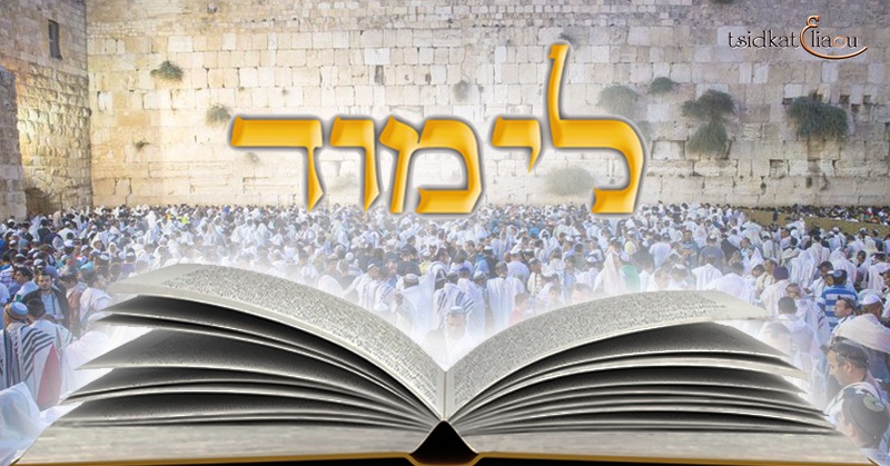 Limoud Torah