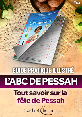 Découvrez votre cadeau de Pessa'h !