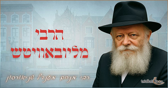 Rabbi Ména'hem Mendel Schneerson zatsal : une vie au service du peuple juif