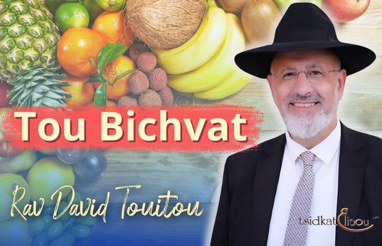 Tou Bichvat et la douceur de ses fruits par le Rav TOUITOU