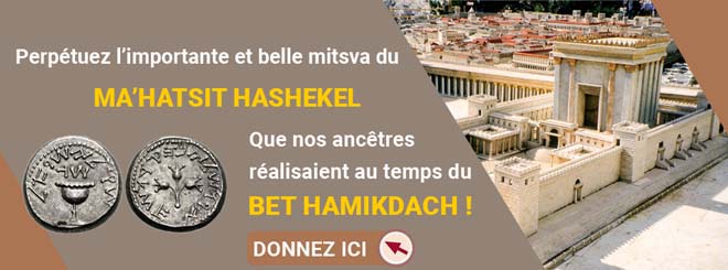 actions-tsidkat-eliaou